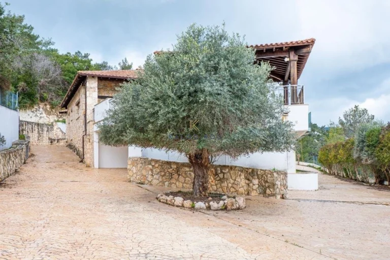 3 Bedroom House for Sale in Neo Chorio Pafou, Paphos District