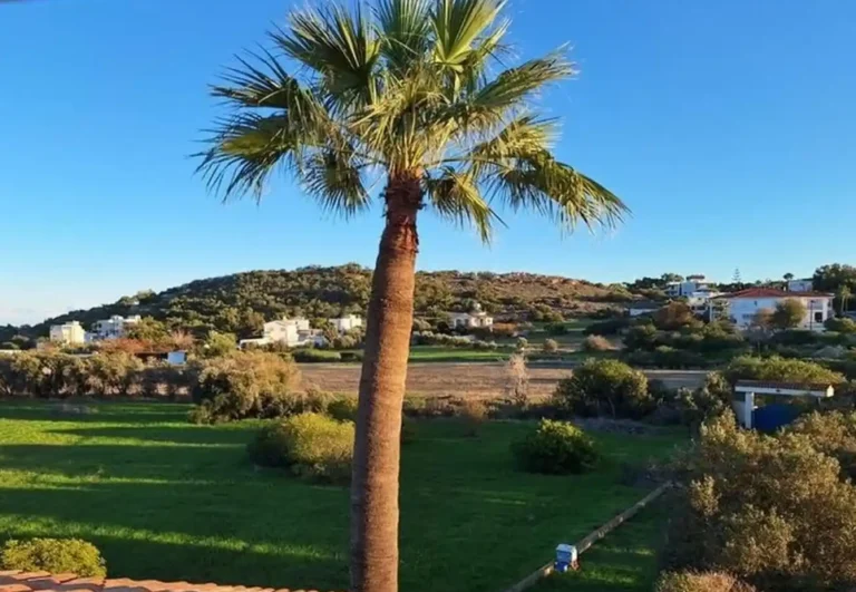Cheap Houses and Villas for Rent Famagusta