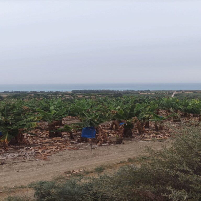 Plots of Land for Sale