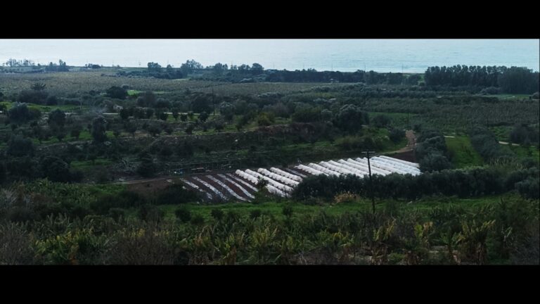 Plots of Land for Sale
