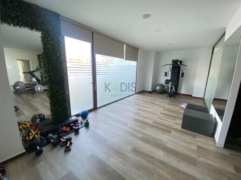 2 Bedroom Apartment for Rent in Mouttagiaka, Limassol District