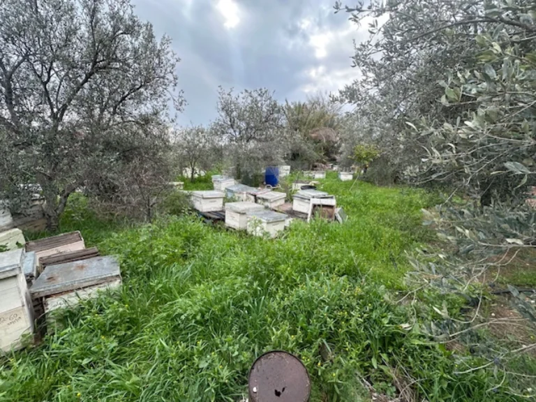1,821m² Plot for Sale in Strovolos, Nicosia District