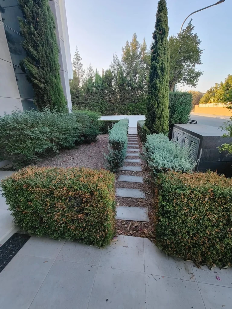 6+ Bedroom House for Sale in Erimi, Limassol District