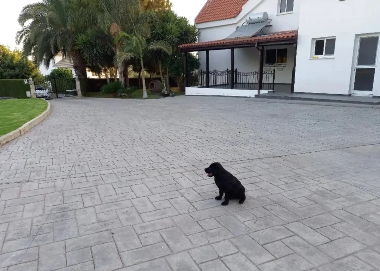 5 Bedroom House for Sale in Pentakomo, Limassol District