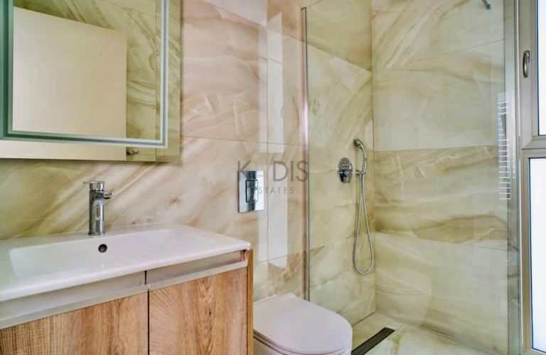 1 Bedroom Apartment for Rent in Limassol District