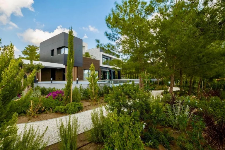 900m² House for Rent in Limassol District