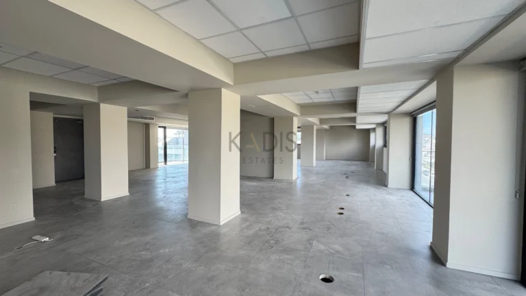 550m² Office for Rent in Limassol – Zakaki