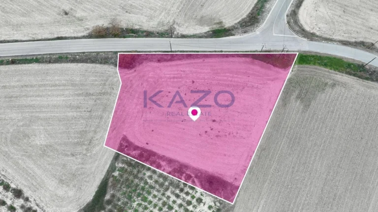 4,014m² Plot for Sale in Mazotos, Larnaca District