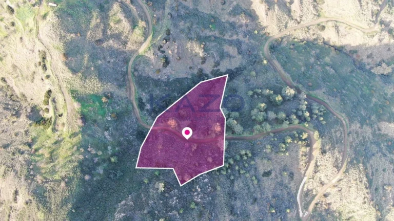 7,038m² Plot for Sale in Pigenia, Nicosia District