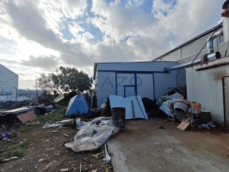 750m² Building for Sale in Ypsonas, Limassol District
