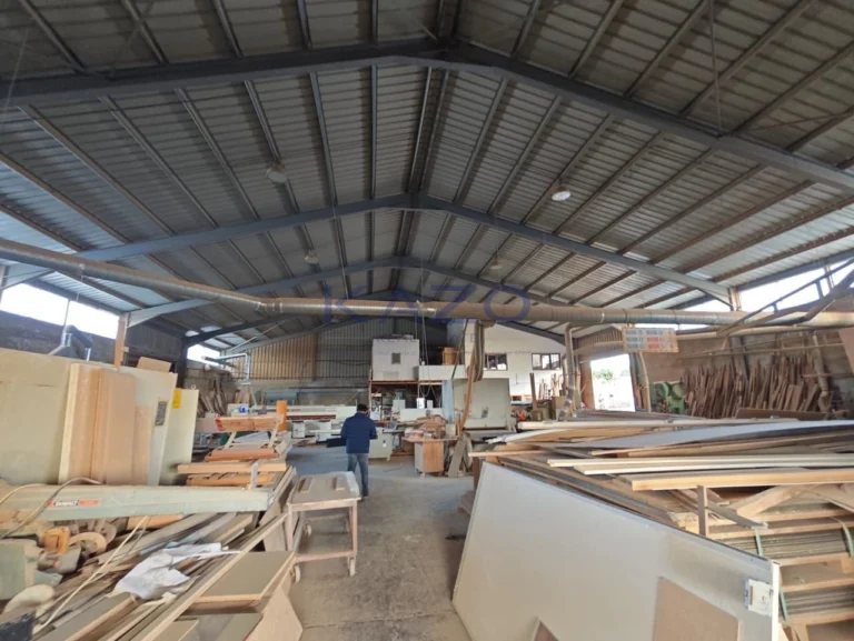 750m² Building for Sale in Ypsonas, Limassol District