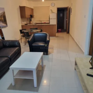 1 Bedroom Apartment for Rent in Tersefanou, Larnaca District
