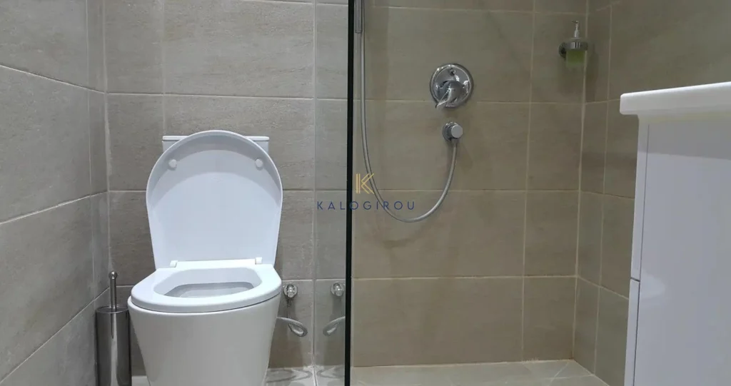 1 Bedroom Apartment for Rent in Larnaca District