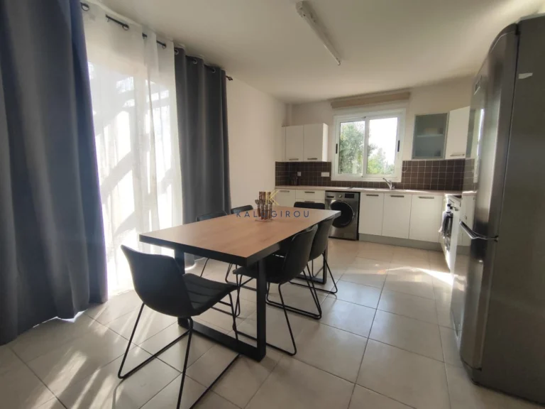 2 Bedroom Apartment for Rent in Tersefanou, Larnaca District