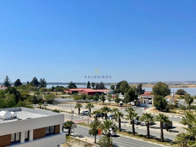 1 Bedroom Apartment for Rent in Larnaca District