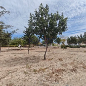 622m² Plot for Sale in Limassol – Agios Athanasios