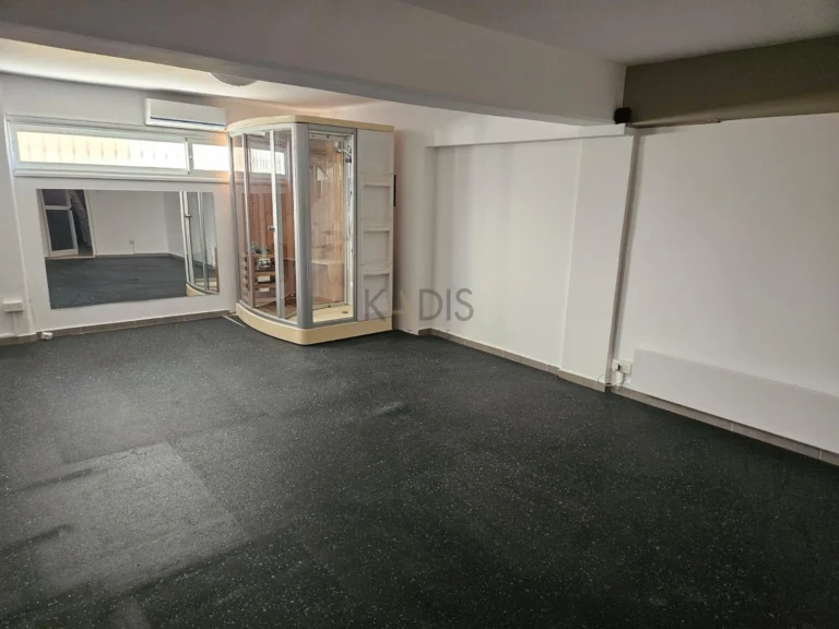 4 Bedroom House for Rent in Limassol – Panthea