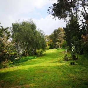 3 Bedroom House for Sale in Pervolia Larnacas