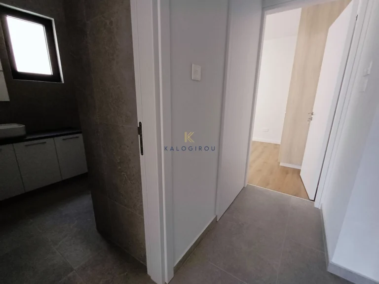 2 Bedroom Apartment for Rent in Larnaca District