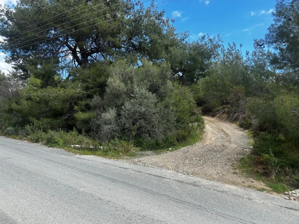 6,355m² Plot for Sale in Trimiklini, Limassol District