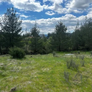 6,355m² Plot for Sale in Trimiklini, Limassol District