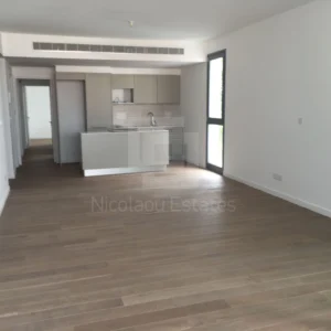2 Bedroom Apartment for Rent in Aglantzia, Nicosia District