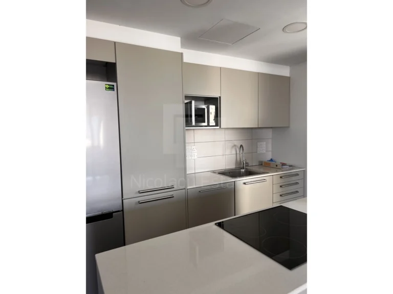 Cheap Apartments for Rent Nicosia up to 1000 euro