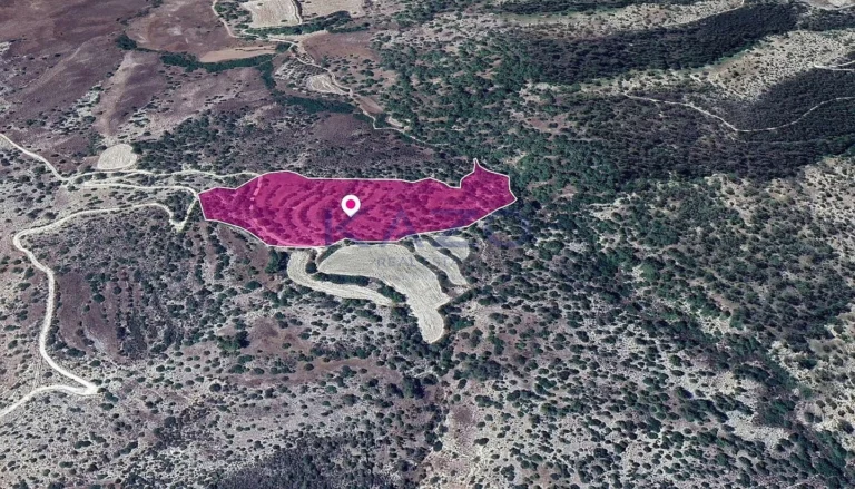 33,446m² Plot for Sale in Amargeti, Paphos District