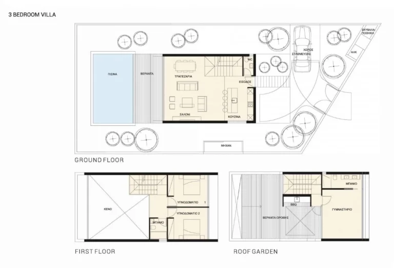 3 Bedroom House for Sale in Paphos – Agios Theodoros