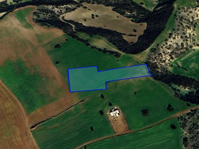 for Sale in Paphos – Agios Theodoros, Larnaca District