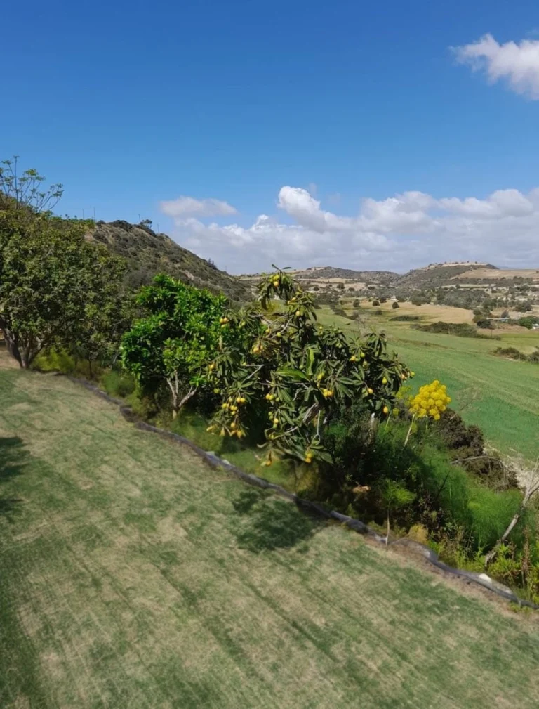 2 Bedroom House for Sale in Alaminos, Larnaca District