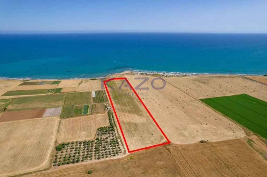 27,960m² Plot for Sale in Mazotos, Larnaca District