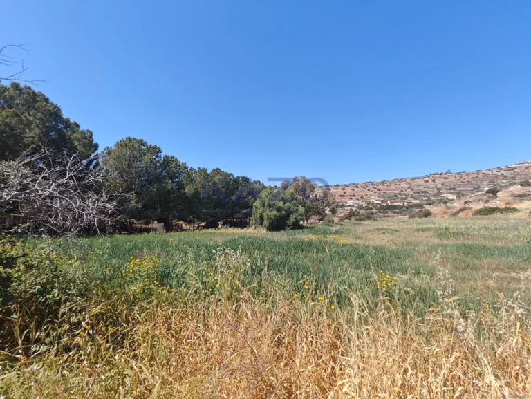 6,292m² Plot for Sale in Agios Tychonas, Limassol District