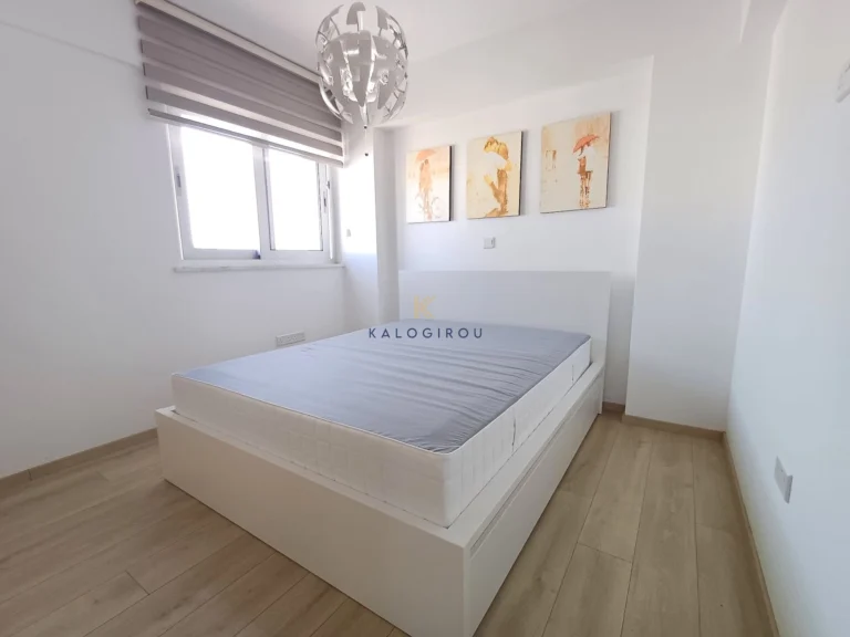 2 Bedroom Apartment for Rent in Larnaca District