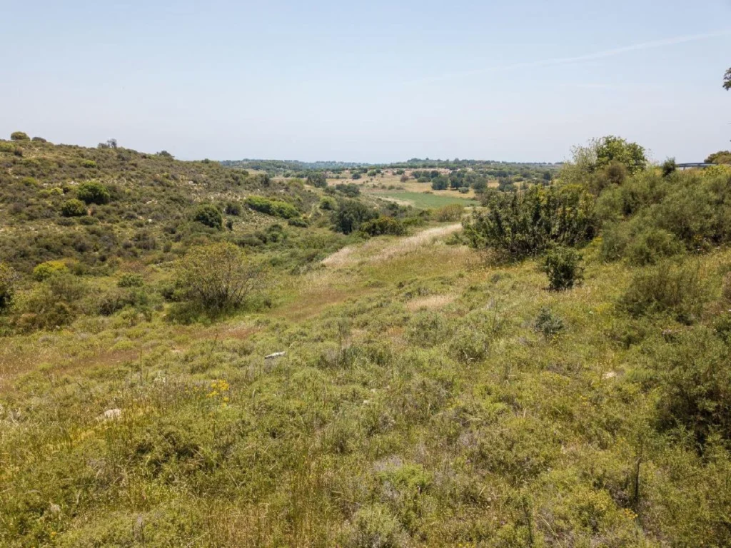 16,054m² Plot for Sale in Pachna, Limassol District