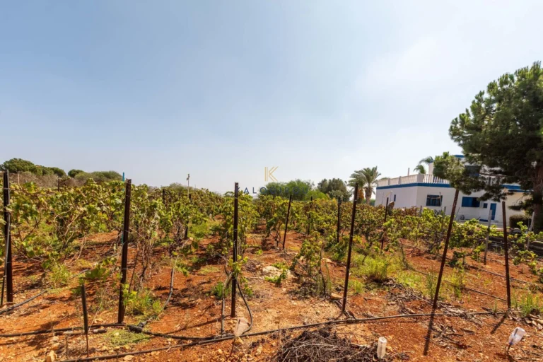 4 Bedroom House for Sale in Protaras, Famagusta District