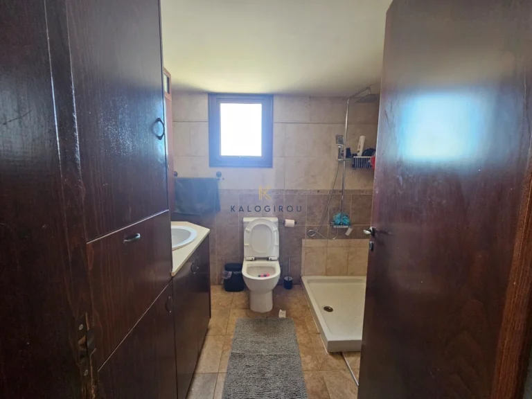 3 Bedroom House for Rent in Aradippou, Larnaca District