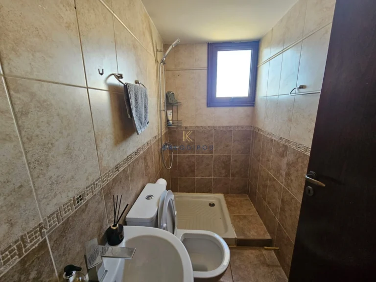 3 Bedroom House for Rent in Aradippou, Larnaca District