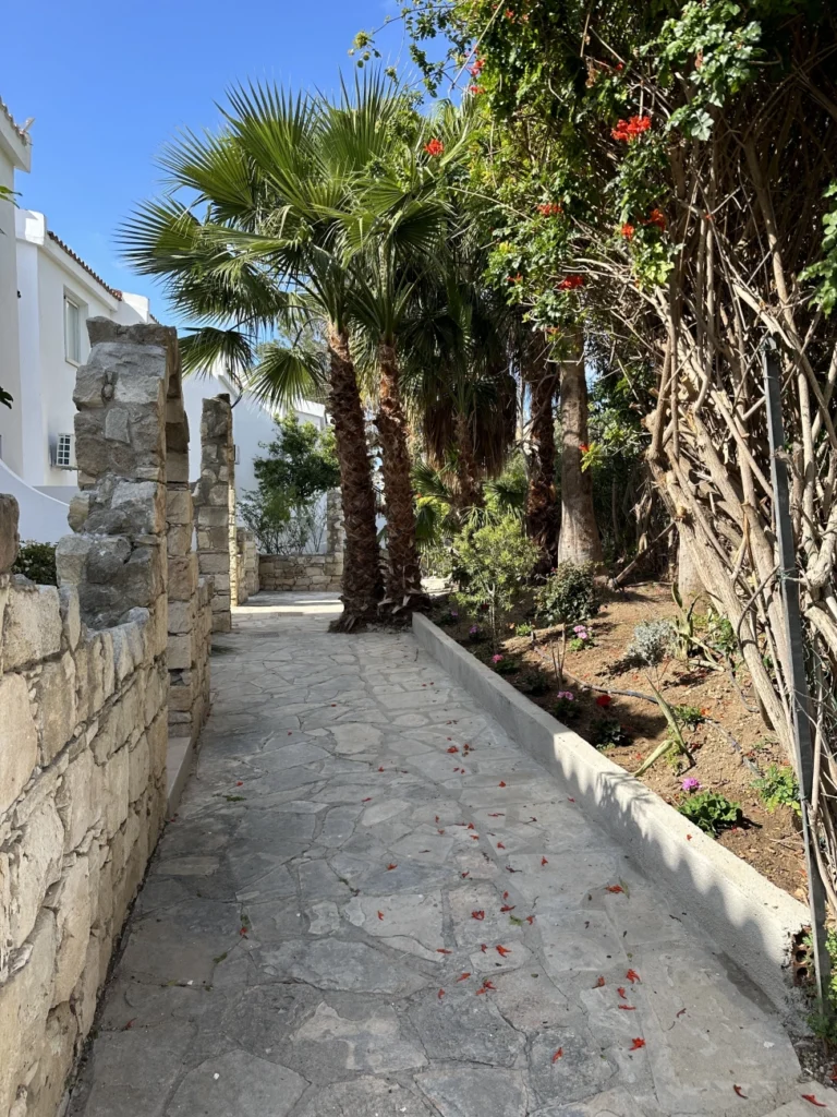 2 Bedroom Apartment for Rent in Paphos District