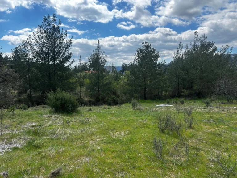 9,886m² Plot for Sale in Trimiklini, Limassol District
