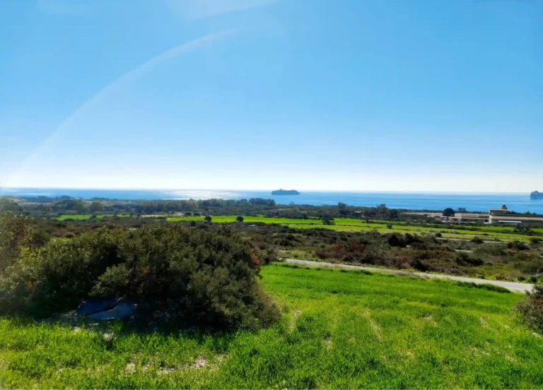 12,710m² Plot for Sale in Pyrgos Lemesou, Limassol District