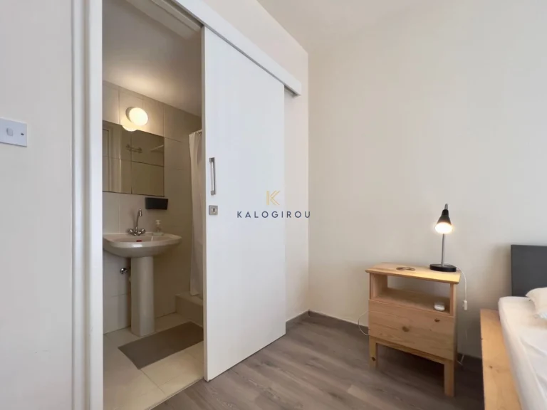 3 Bedroom Apartment for Rent in Larnaca District