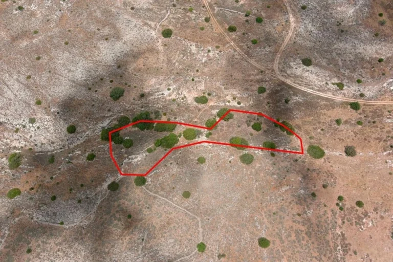 100,406m² Plot for Sale in Paphos – Anavargos