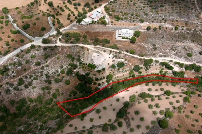 100,406m² Plot for Sale in Paphos – Anavargos