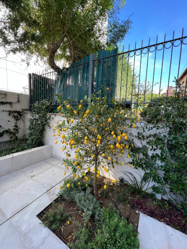 2 Bedroom Apartment for Rent in Pyrgos Lemesou Tourist Area, Limassol District