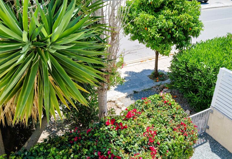 Cheap Houses and Villas for Sale Paphos up to 400000 euro