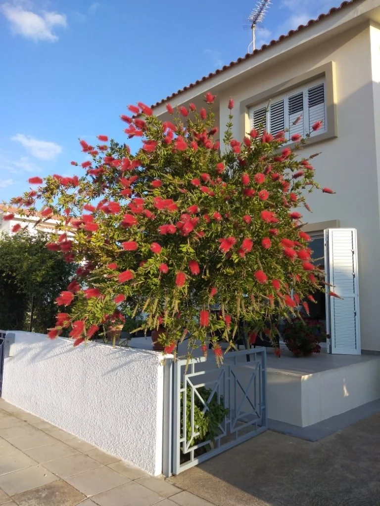 2 Bedroom House for Sale in Larnaca District