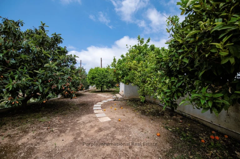 5 Bedroom House for Sale in Tala, Paphos District