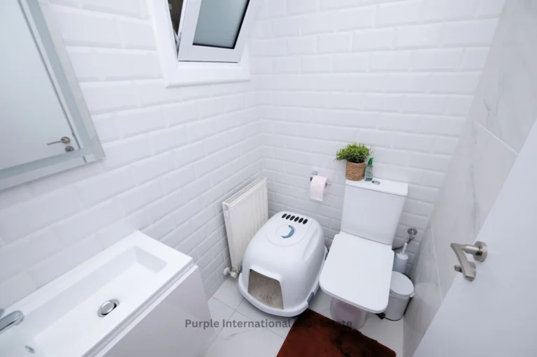 3 Bedroom House for Sale in Paphos District