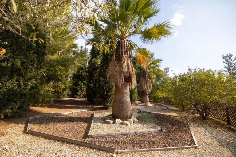 4 Bedroom House for Sale in Steni, Paphos District